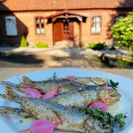 Dworek Mazurski Apartment Rus (Ostroda)