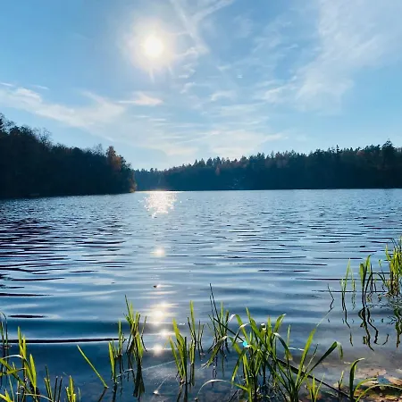 Apartment Dworek Mazurski *